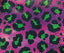 Cheetah (9T)